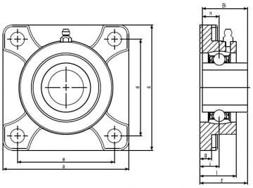 FPL RULMAN YATAKLARI/BEARING INSERT